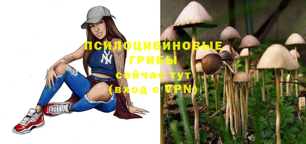 mdpv Арсеньев