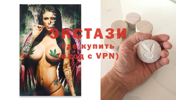 гашик Тайга